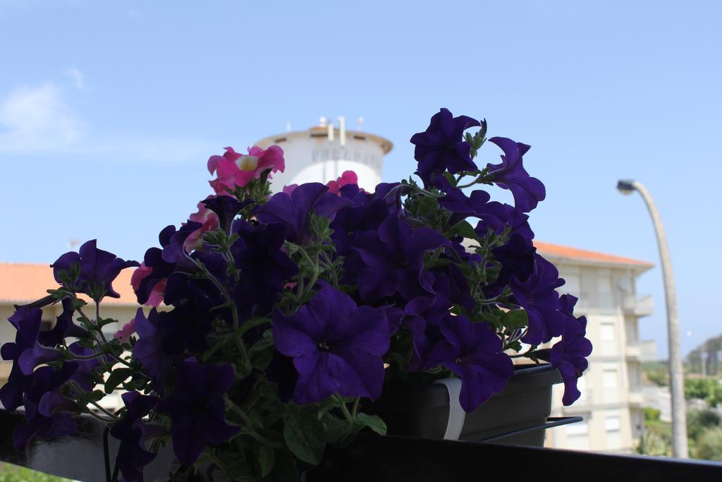 Nine Senses Hotell Furadouro Exteriör bild